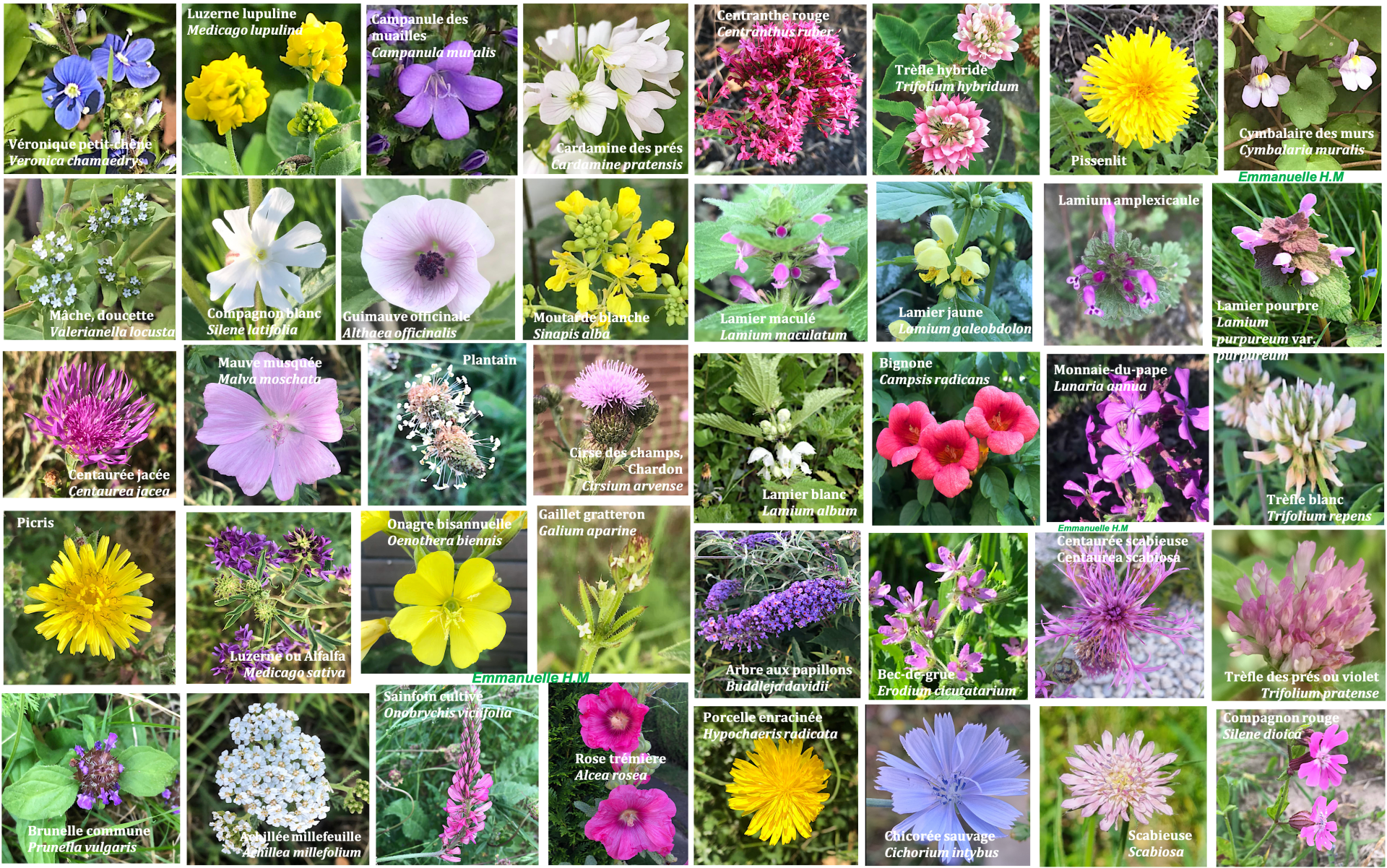Fleurs patchwork 4